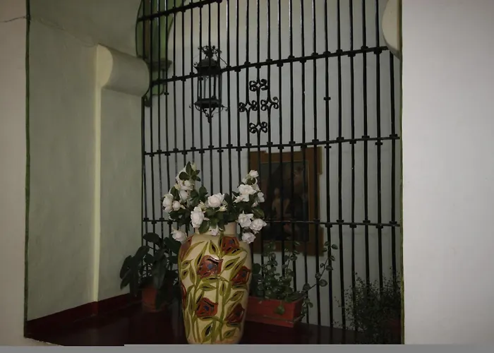 Hotel Monte Alban - Solo Adultos